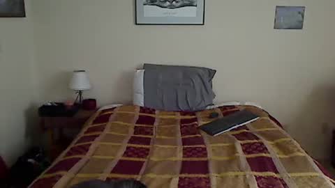 hammerthatthang73 online show from April 1, 1:12 pm