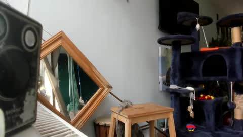 handncocknocum online show from February 25, 10:47 am