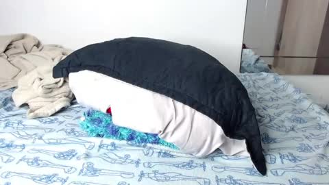 Snapshot of handsome_white1 chatting on January 14, 1:06 pm jorge daniel online show from January 14, 1:06 pm