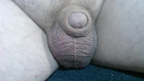 Handyman online show from December 14, 2:11 pm