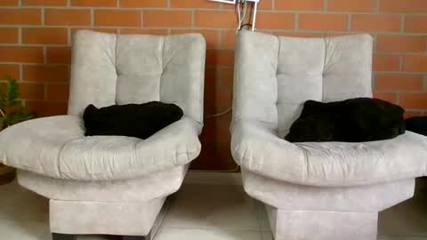 Snapshot of hanna_beily chatting on January 20, 6:32 pm hanna online show from January 20, 6:32 pm