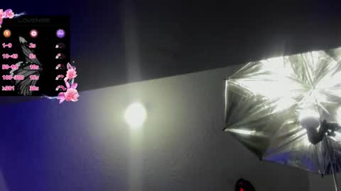 Snapshot of hanna_wish chatting on November 3, 1:34 pm Hanna online show from November 3, 1:34 pm