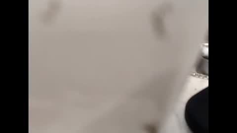 Snapshot of hardandhorny422 chatting on October 12, 12:59 pm hardandhorny422 online show from October 12, 12:59 pm