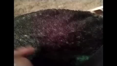 Snapshot of hardandhorny422 chatting on October 13, 5:24 pm hardandhorny422 online show from October 13, 5:24 pm