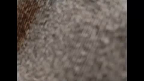 Snapshot of hardandhorny422 chatting on October 15, 11:54 am hardandhorny422 online show from October 15, 11:54 am