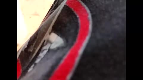 Snapshot of hardandhorny422 chatting on October 16, 5:14 pm hardandhorny422 online show from October 16, 5:14 pm