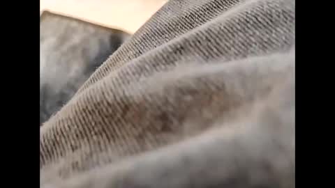 Snapshot of hardandhorny422 chatting on October 30, 11:55 am hardandhorny422 online show from October 30, 11:55 am