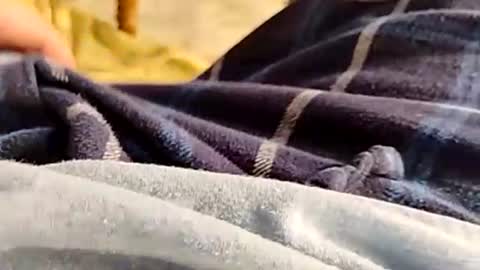 Snapshot of hardandhorny422 chatting on November 30, 4:33 pm hardandhorny422 online show from November 30, 4:33 pm