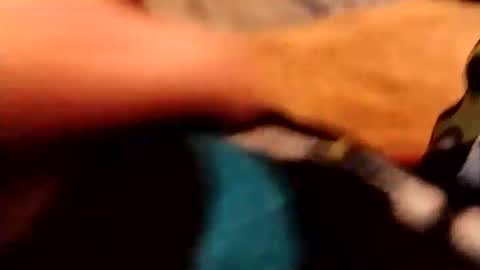 Snapshot of hardandhorny422 chatting on December 4, 3:54 pm hardandhorny422 online show from December 4, 3:54 pm