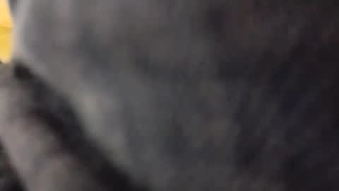 hardandhorny422 online show from May 10, 5:18 pm