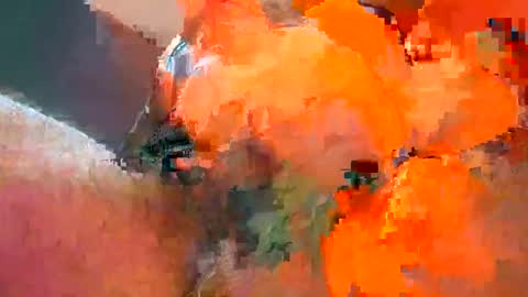 Iordan online show from February 2, 6:31 pm