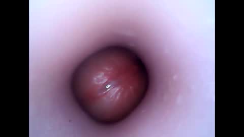 Snapshot of hardhammerboy chatting on December 26, 7:49 pm hardhammerboy online show from December 26, 7:49 pm