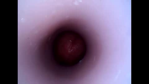 Snapshot of hardhammerboy chatting on December 29, 8:26 pm hardhammerboy online show from December 29, 8:26 pm