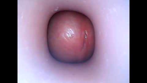 Snapshot of hardhammerboy chatting on January 6, 6:31 pm hardhammerboy online show from January 6, 6:31 pm