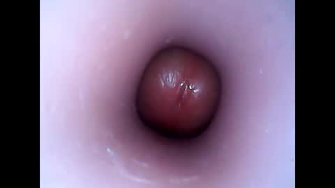 Snapshot of hardhammerboy chatting on January 12, 7:53 pm hardhammerboy online show from January 12, 7:53 pm