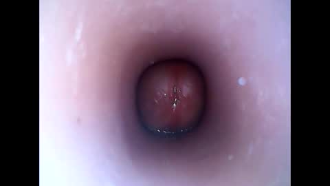 Snapshot of hardhammerboy chatting on January 19, 8:19 pm hardhammerboy online show from January 19, 8:19 pm