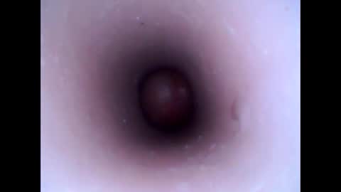 Snapshot of hardhammerboy chatting on January 20, 3:28 pm hardhammerboy online show from January 20, 3:28 pm