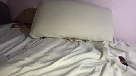 Snapshot of hardnstyle chatting on October 20, 12:00 am HARD AND STYLE online show from October 20, 12:00 am