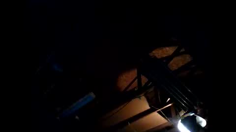 hbdj2164 online show from November 26, 8:26 am