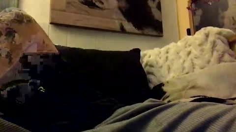 Snapshot of hbsethy chatting on January 11, 7:06 am HBSethy online show from January 11, 7:06 am