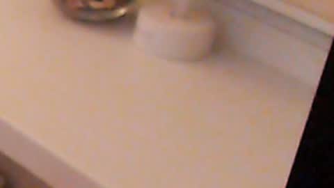 Heaven girl online show from December 5, 11:29 pm