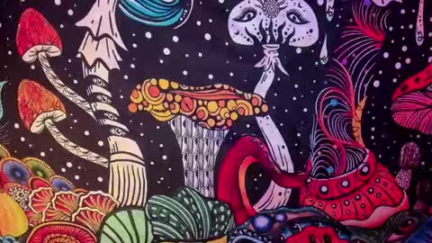   online show from February 26, 7:42 am