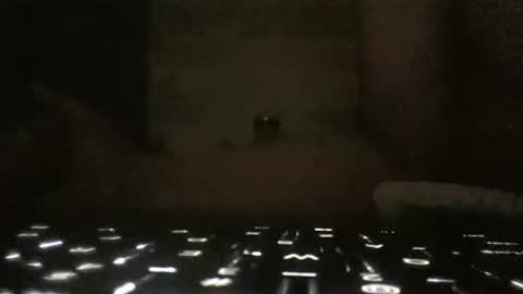 Snapshot of hellohiyou chatting on February 6, 9:43 am WhoMe online show from February 6, 9:43 am