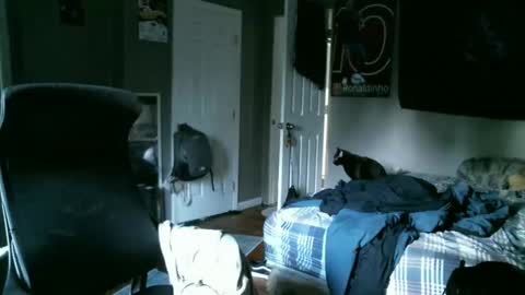 longhairbeardedguy online show from April 10, 11:48 am