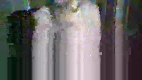 Herman Loves online show from January 14, 5:57 am