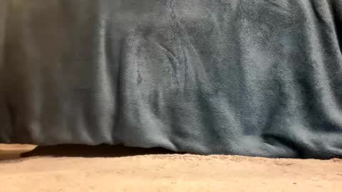 hevyryder online show from April 14, 9:37 am