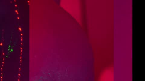 Snapshot of heybanan chatting on December 8, 7:00 pm Alina online show from December 8, 7:00 pm