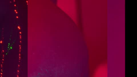 Snapshot of heybanan chatting on December 11, 8:18 pm Alina online show from December 11, 8:18 pm