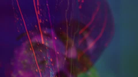 Snapshot of heybanan chatting on September 8, 5:34 pm Alina online show from September 8, 5:34 pm