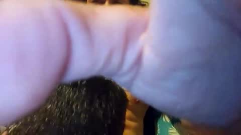 Snapshot of heyhowrya12 chatting on October 5, 3:21 pm heyhowrya12 online show from October 5, 3:21 pm