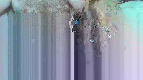 hi_to_you online show from June 3, 8:17 am