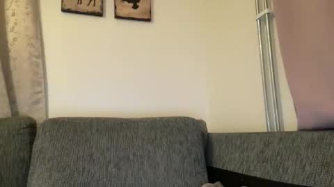 Snapshot of hichemlacoste333 chatting on November 1, 12:34 am hichemlacoste333 online show from November 1, 12:34 am