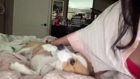 HiddenR0se online show from February 14, 3:14 am