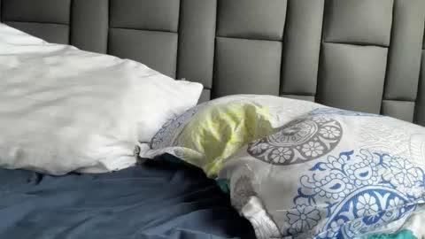 Terry and E online show from September 21, 8:54 pm