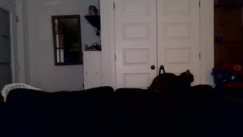 hightonight27 online show from February 21, 4:24 am