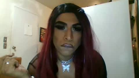 hihheelstranny online show from April 12, 8:08 am