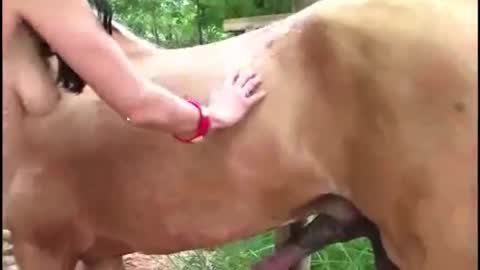 Snapshot of hikitty_39lala chatting on November 9, 12:14 pm hikitty_39lala online show from November 9, 12:14 pm