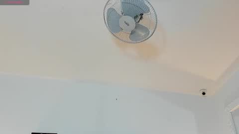 hilary_tailor online show from January 6, 11:25 am