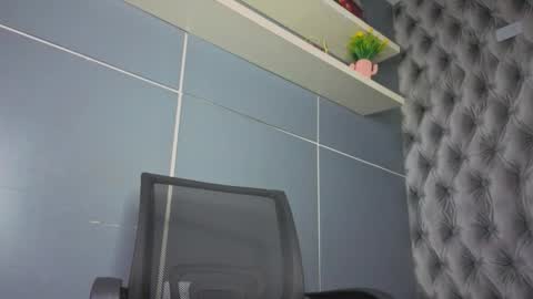 Snapshot of hillary_banks__ chatting on November 19, 4:34 am Hillary online show from November 19, 4:34 am