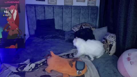 Inori Independent model online show from April 4, 6:44 am