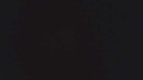 FANE AND DAVID online show from December 16, 12:37 am