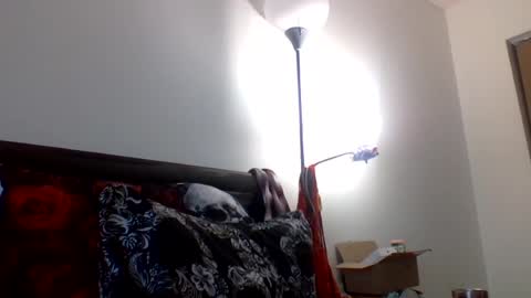 hippysnewhere online show from July 23, 11:46 pm