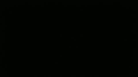 hofnung online show from April 2, 1:09 pm