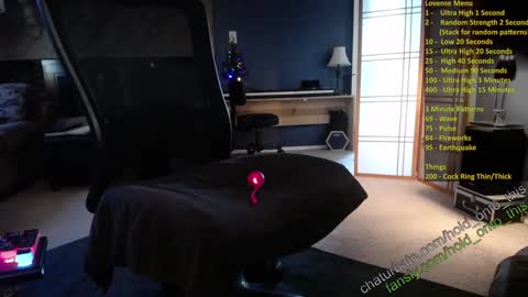 Snapshot of hold_onto_this chatting on December 8, 9:19 pm Moby online show from December 8, 9:19 pm