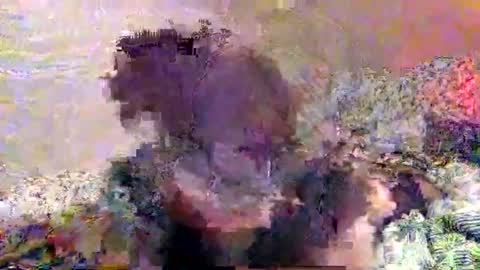 hometownwitch online show from November 25, 6:19 pm