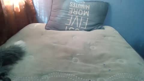 Snapshot of honeybut72uwu chatting on September 19, 9:59 pm Honeybut72 online show from September 19, 9:59 pm